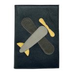 Passaporte_Azul_Aviao